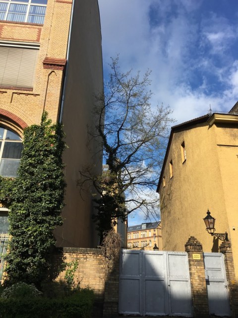 Die Straße in der ich wohne - Fotos von Susanne Haun - Susanne Haun